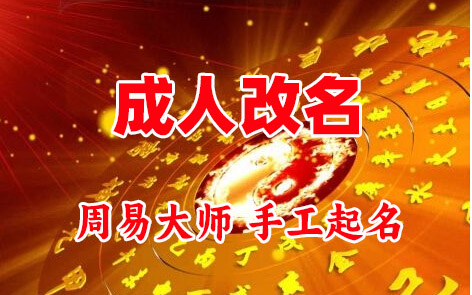 毕节市成人改名-找大师一对一改名先分析后改名